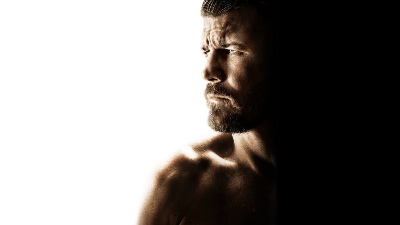 Bisping - immagine