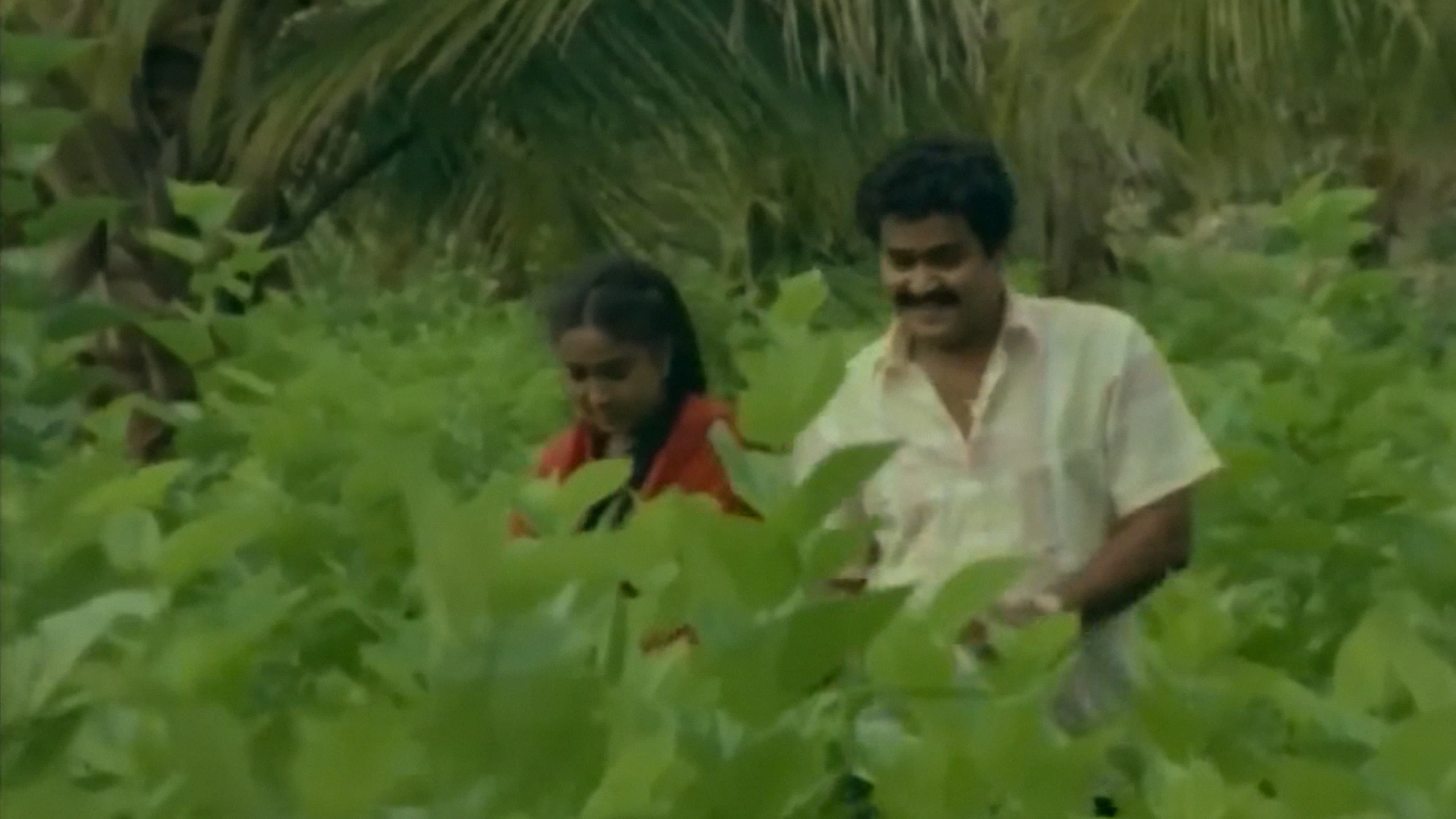 നമുക്കു പാർക്കാൻ മുന്തിരിത്തോപ്പുകൾ - immagine