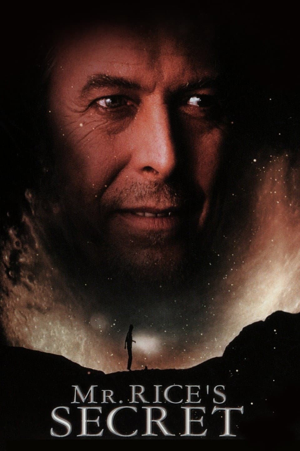 Poster di Mr. Rice's Secret
