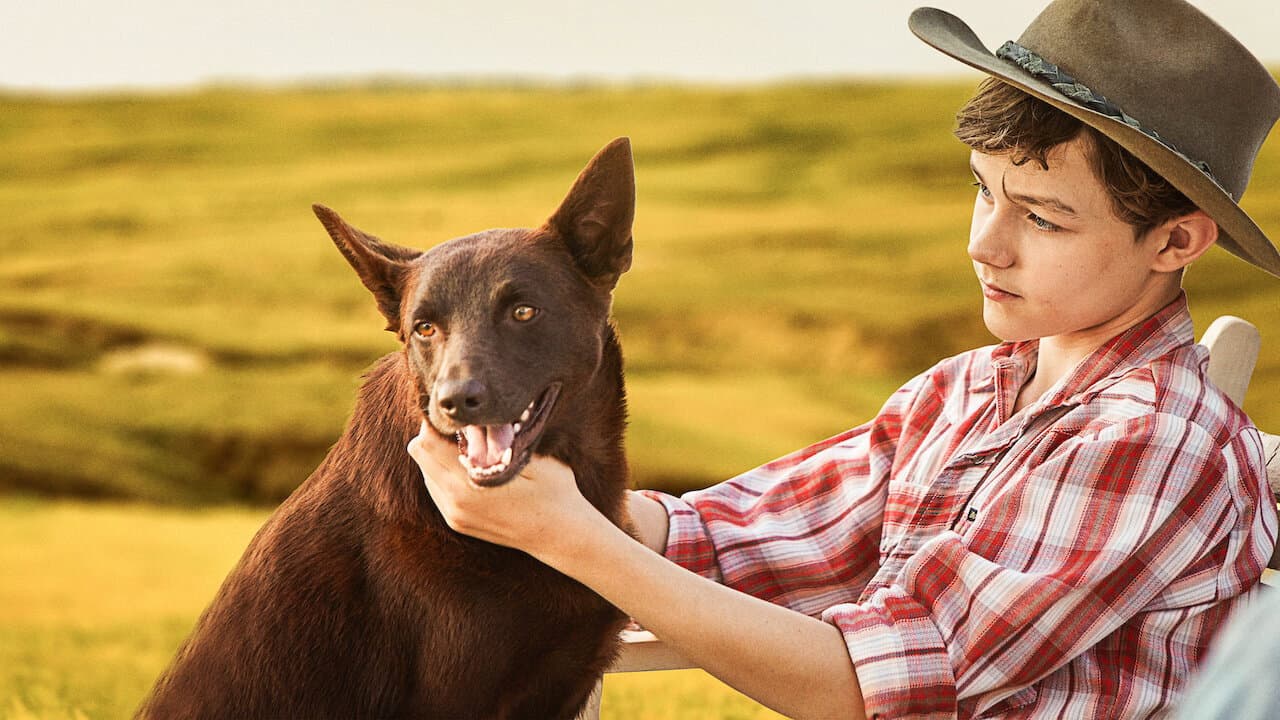 Red Dog: L'inizio - immagine