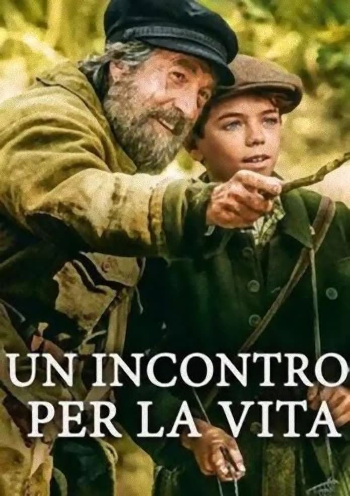 Poster di Un incontro per la vita