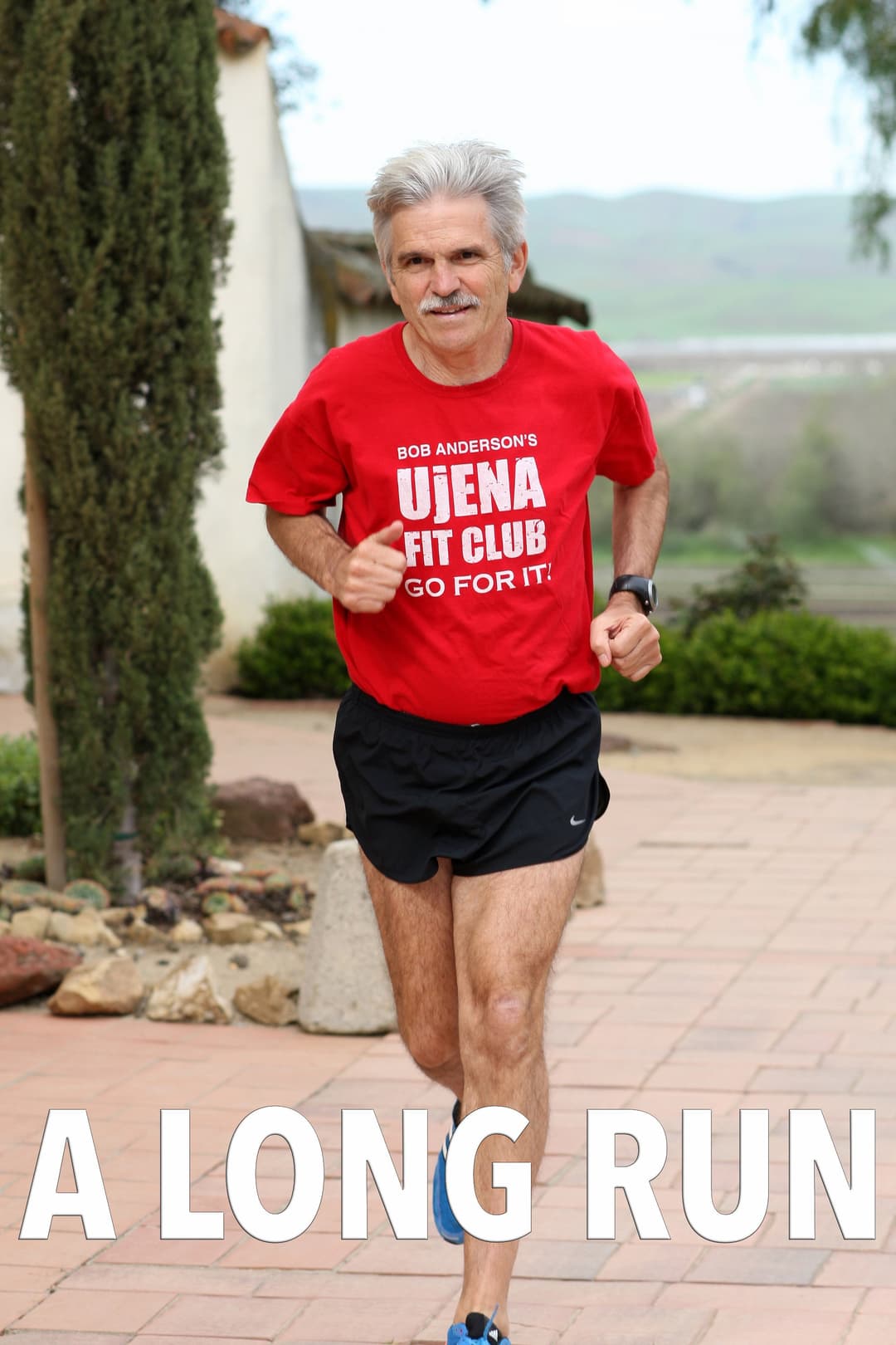 Poster di A Long Run