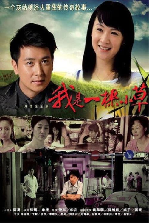 Poster di 我是一棵小草