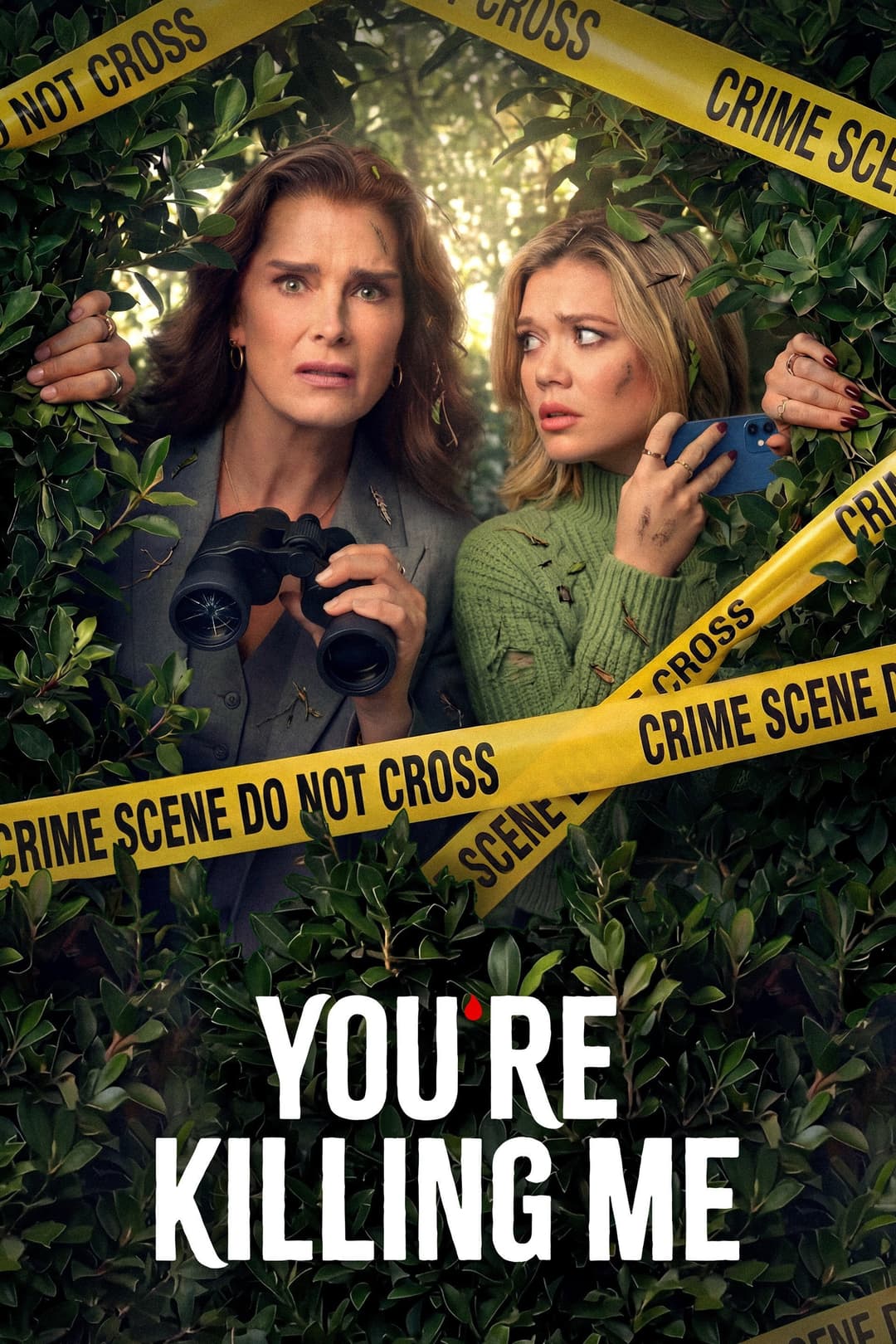 Poster di You're Killing Me
