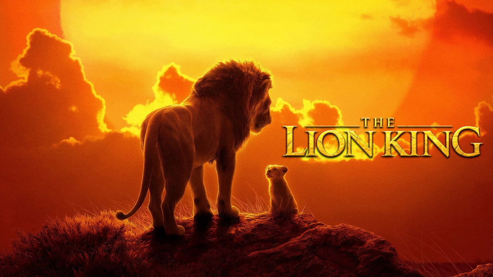 Il re leone - immagine