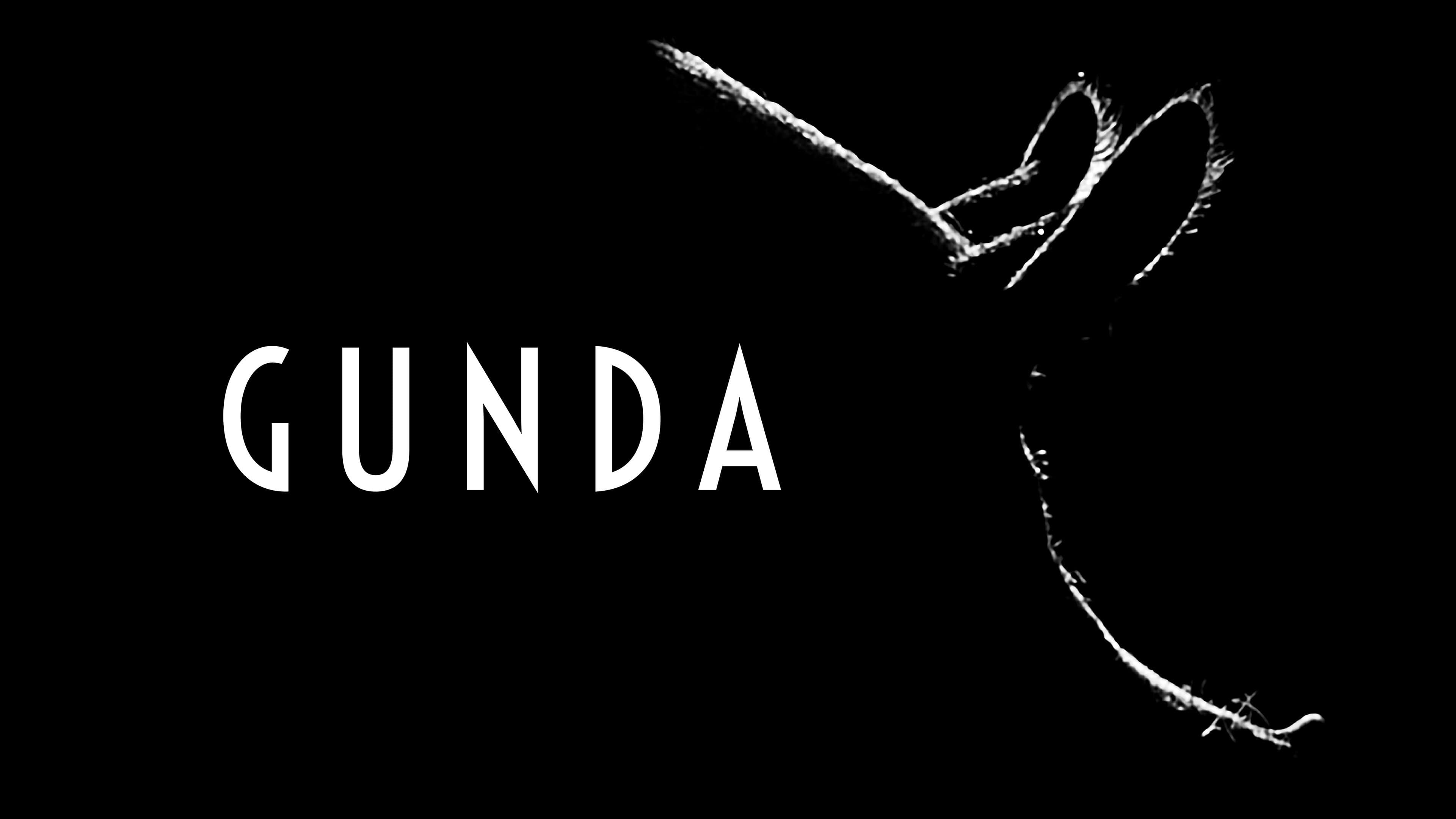 Gunda - immagine