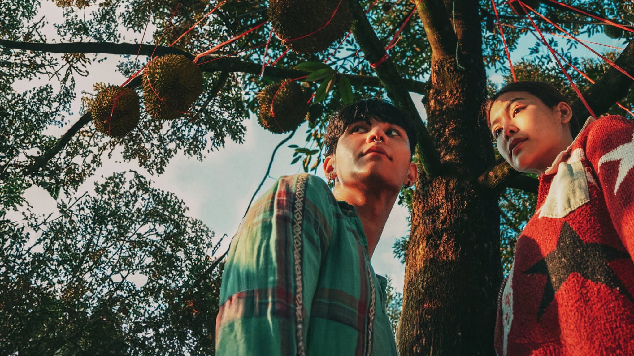 วิมานหนาม - immagine