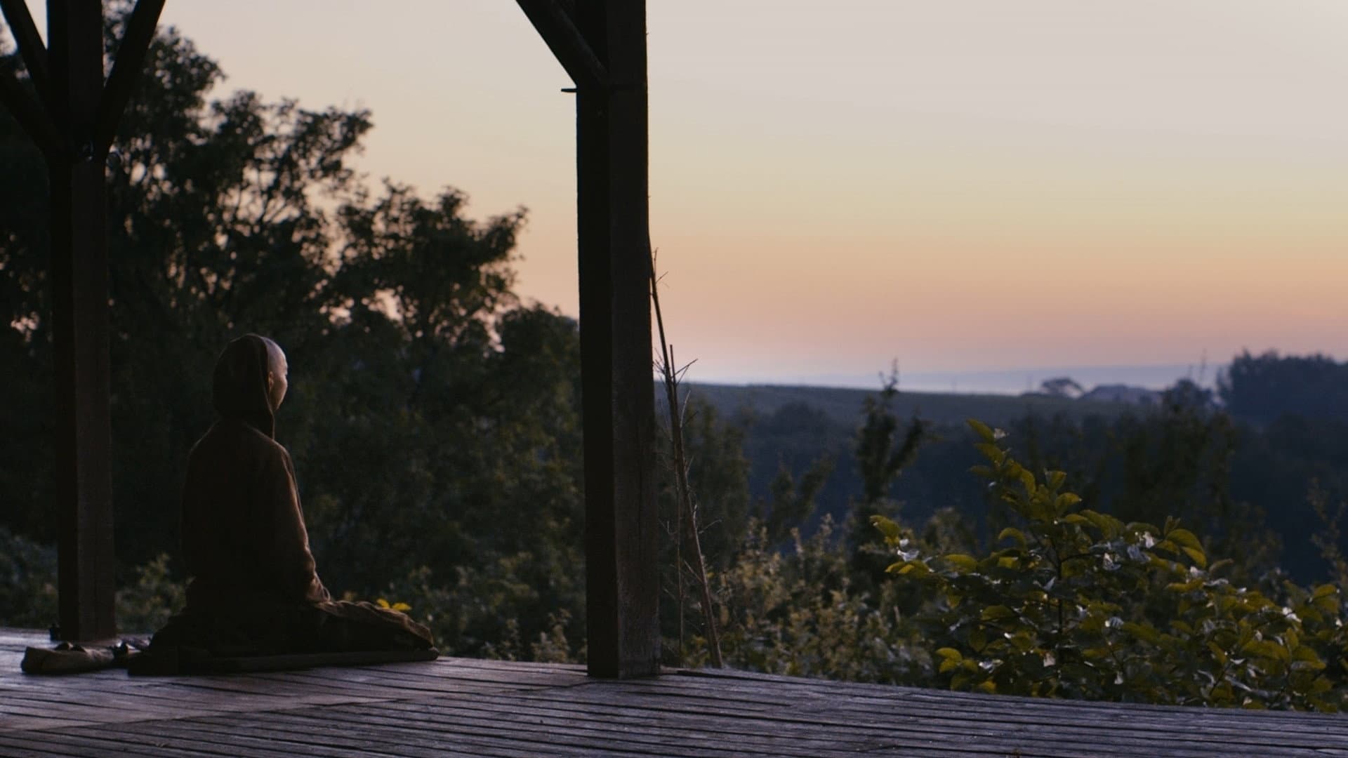 Walk With Me - Il potere del Mindfulness - immagine