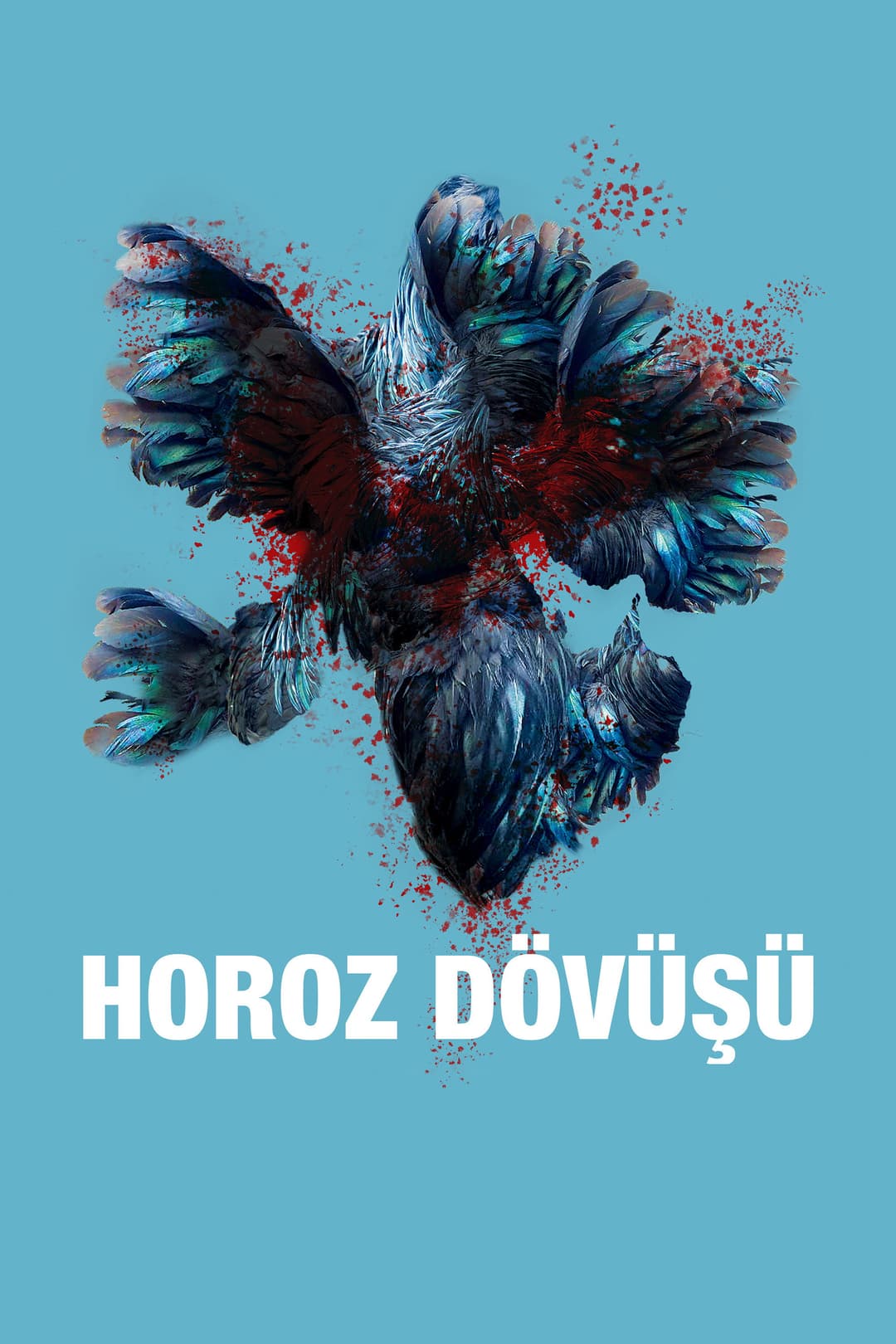 Poster di Horoz Dövüşü