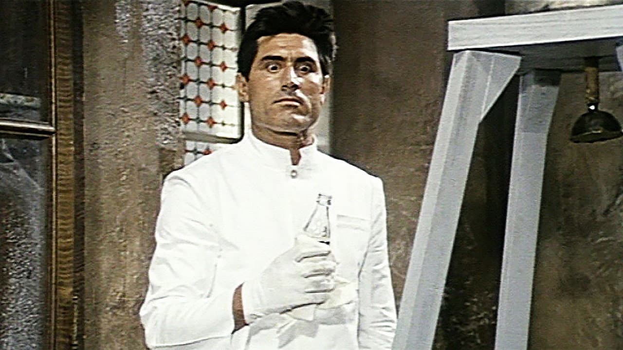 Il domestico - immagine