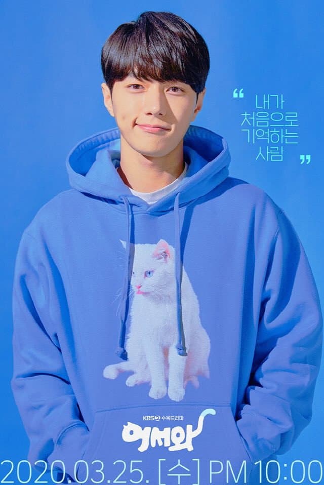 Poster di Meow, il Ragazzo Segreto