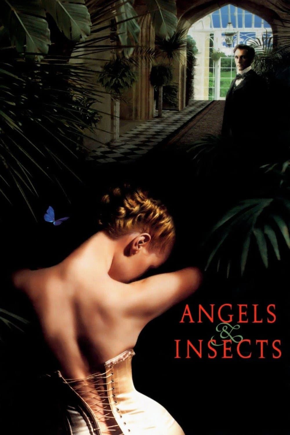 Poster di Angeli e insetti