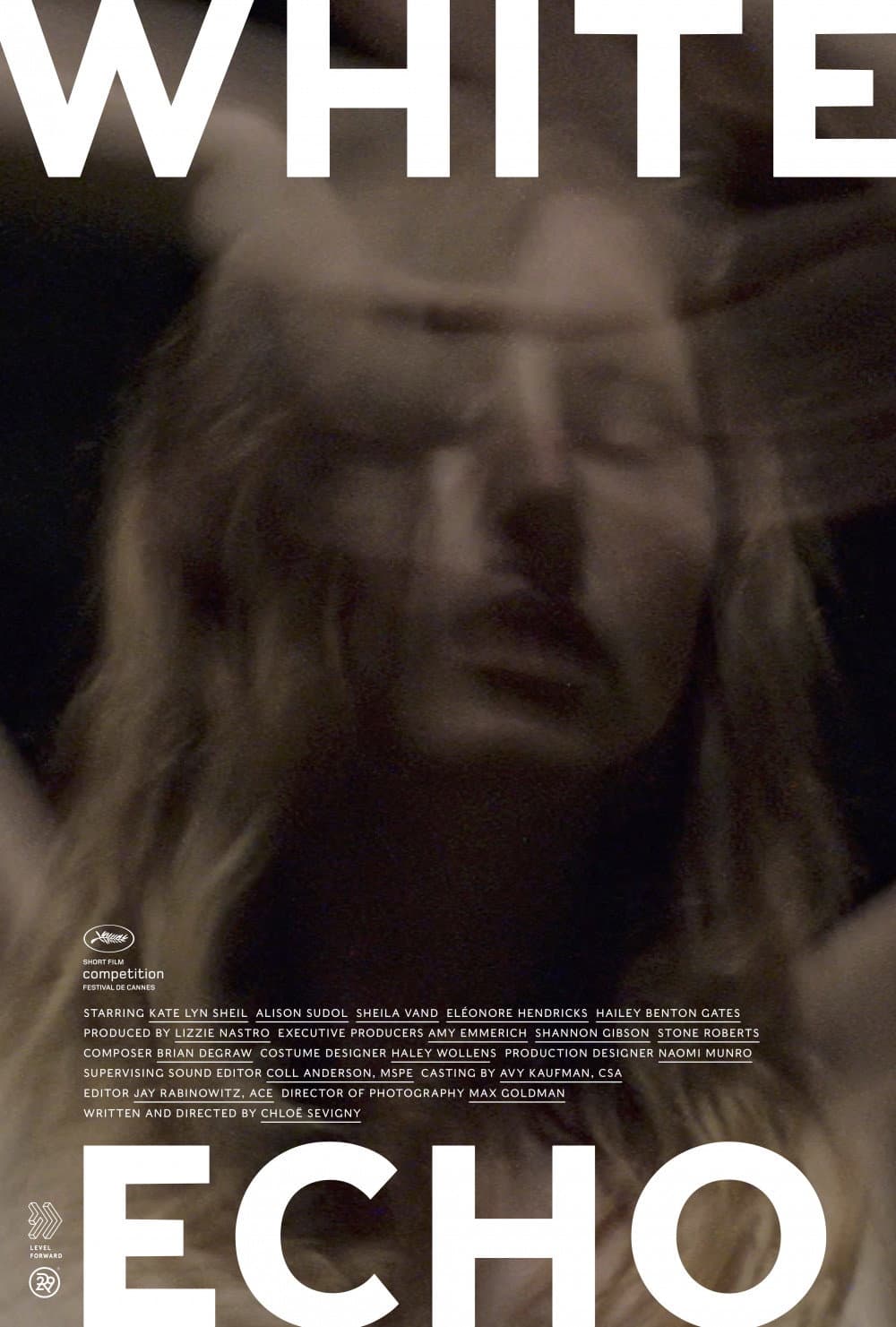 Poster di White Echo