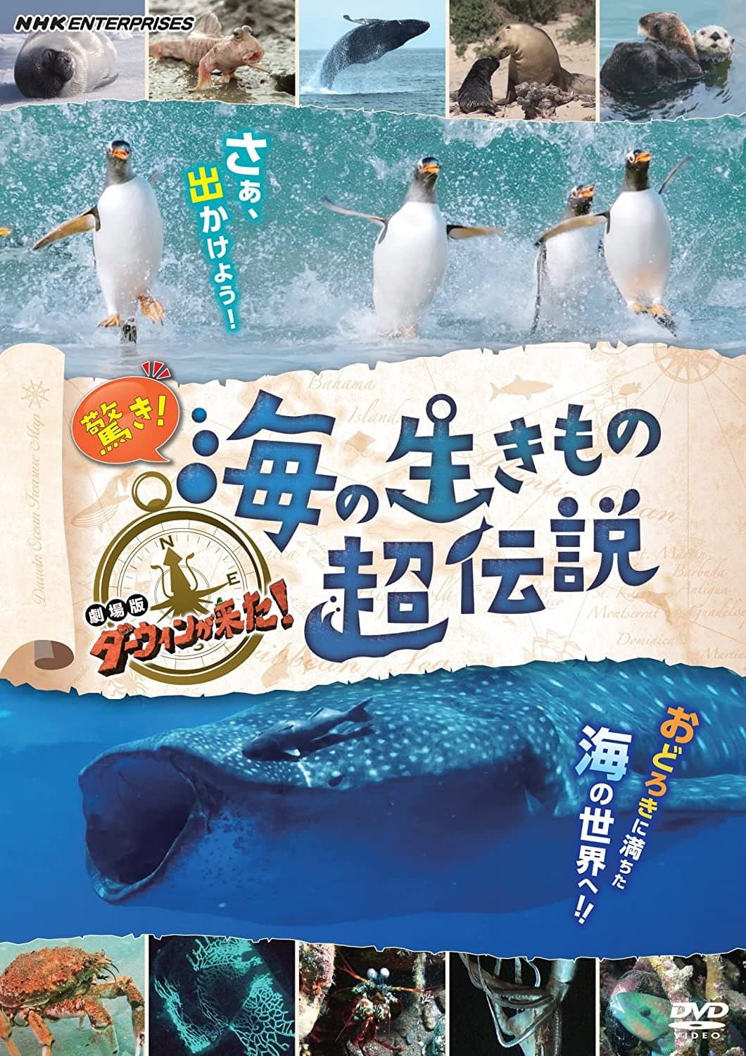 Poster di 驚き！海の生きもの超伝説 劇場版ダーウィンが来た！