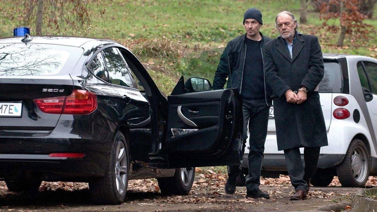 Der Zürich-Krimi: Borcherts Fall - immagine