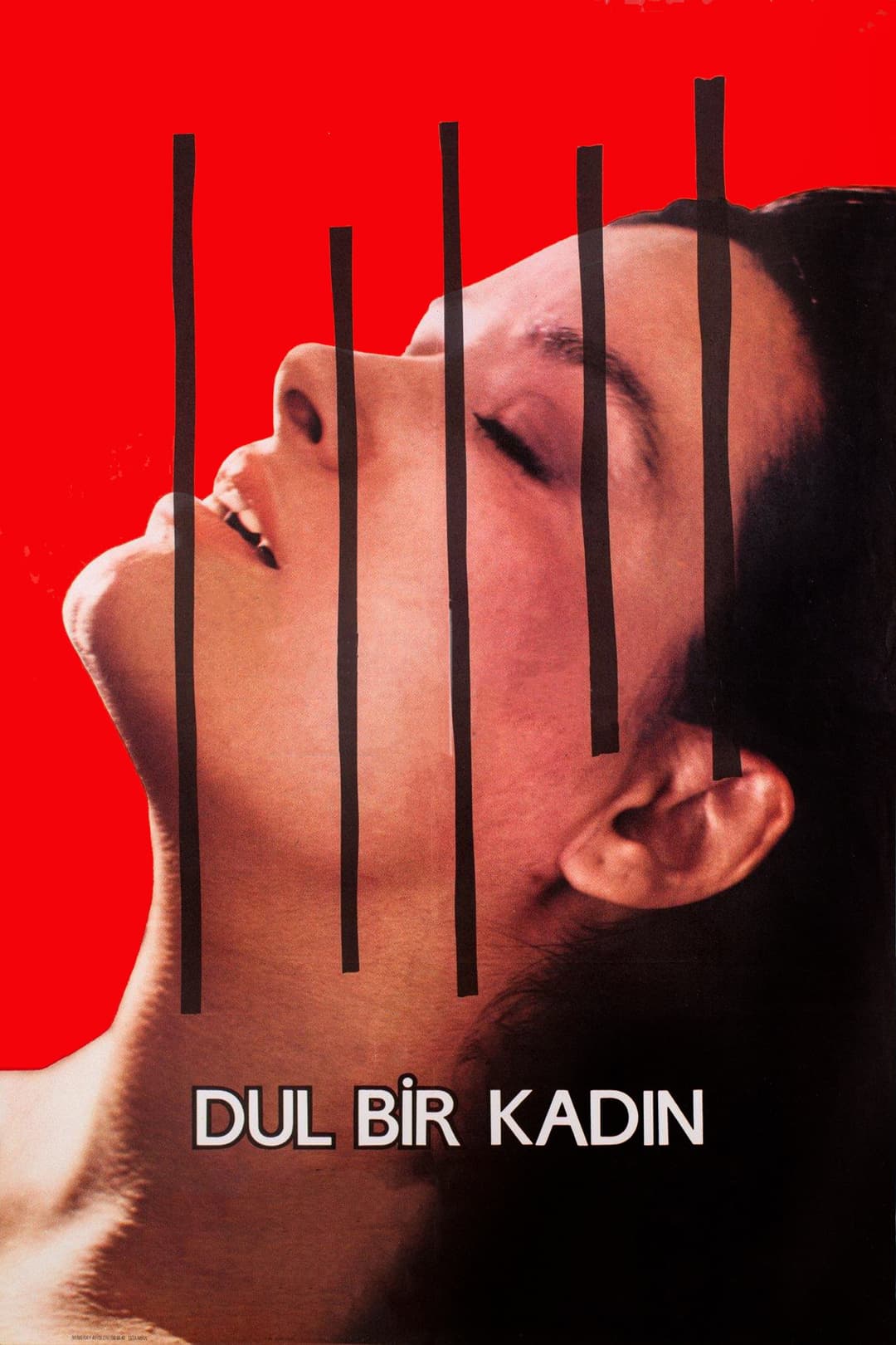 Poster di Dul Bir Kadın