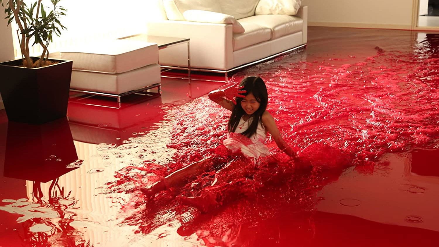 Why Don't You Play in Hell? - immagine