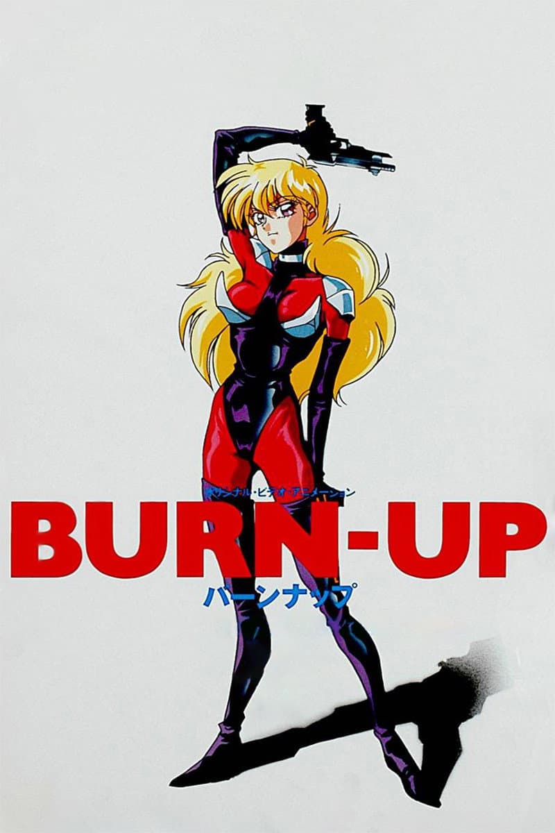Poster di Burn-up!