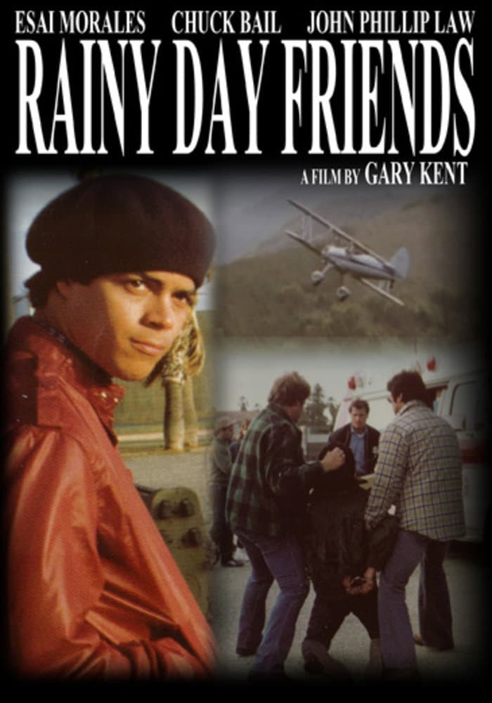 Poster di Rainy Day Friends