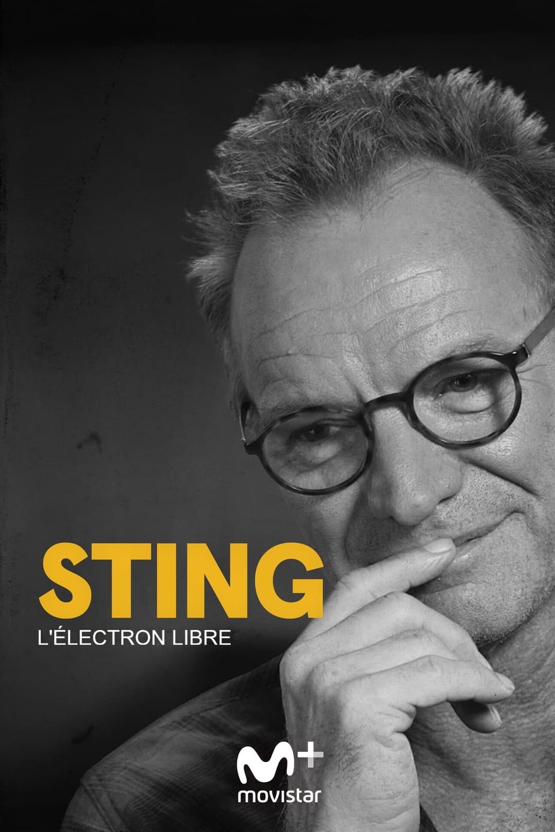 Poster di Sting - Tra musica e libertà