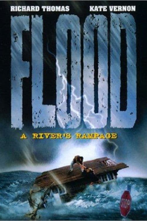 Poster di Flood: A River's Rampage