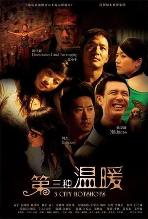 Poster di 第三种温暖