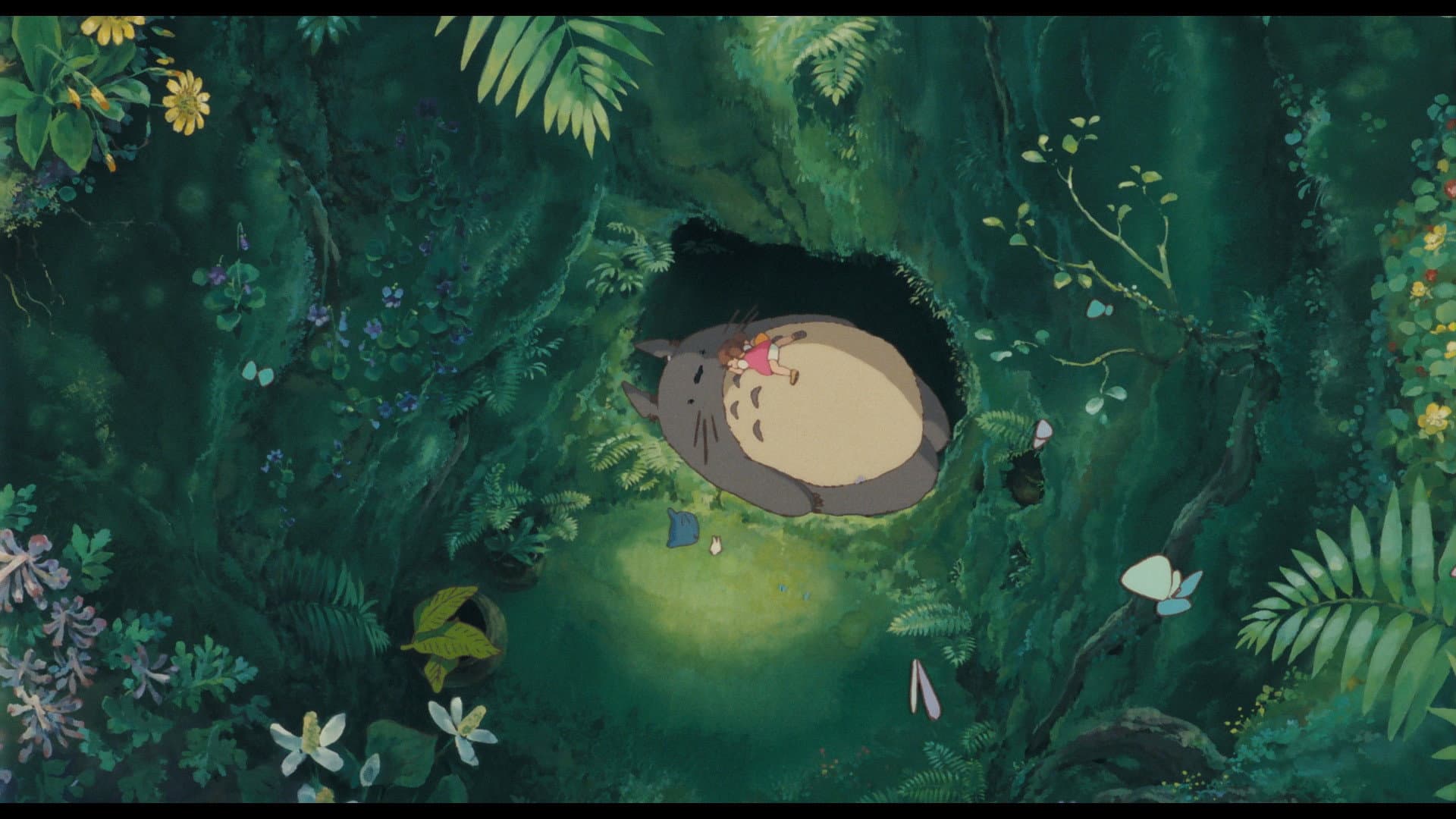 Miyazaki, l'esprit de la nature - immagine