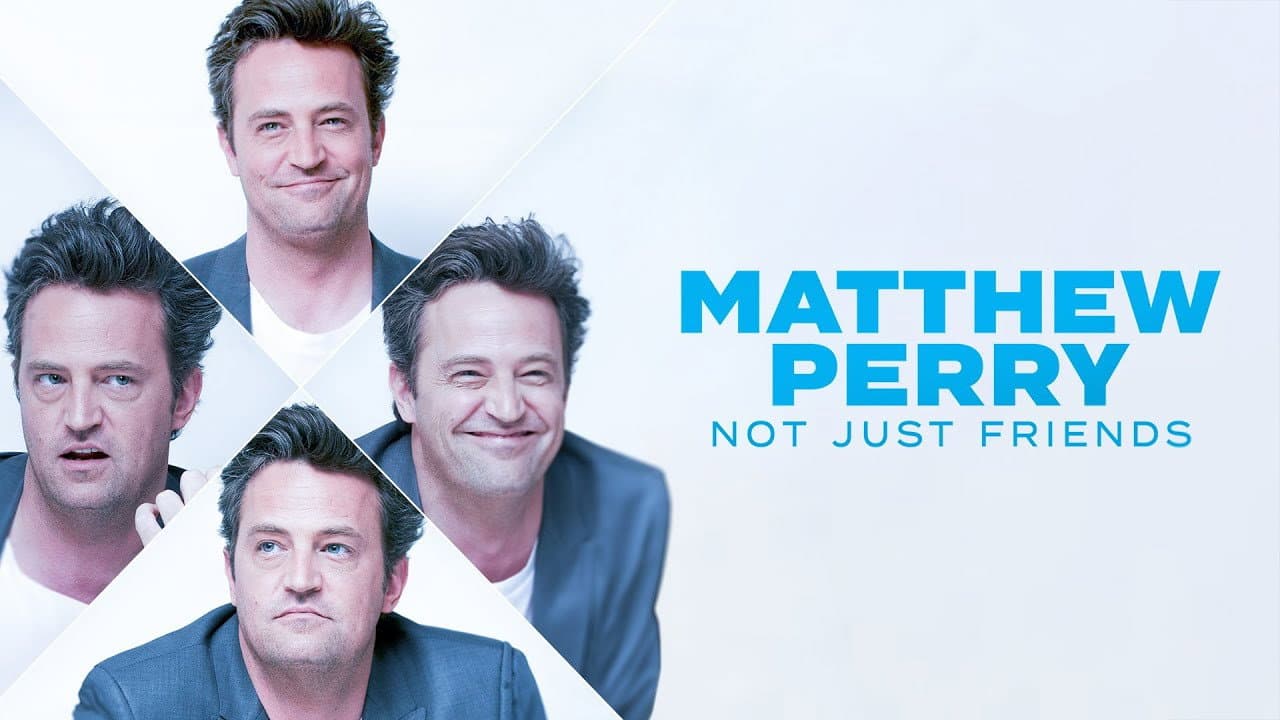 Matthew Perry: Not Just Friends - immagine