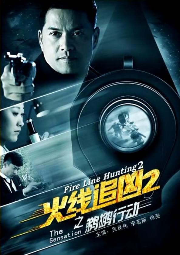 Poster di 火线追凶2之鹈鹕行动