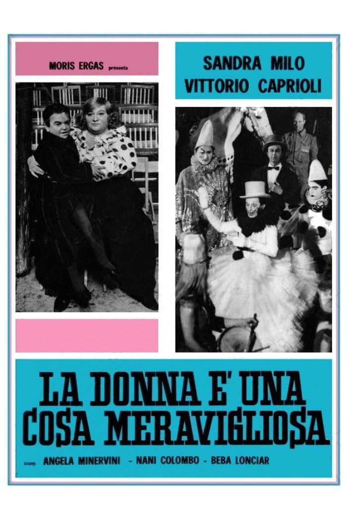 Poster di La donna è una cosa meravigliosa