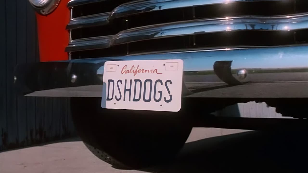 Dish Dogs - immagine