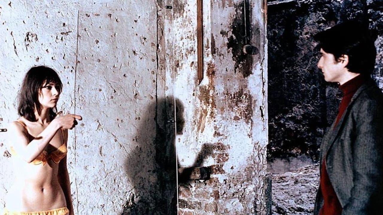 La cinese - immagine