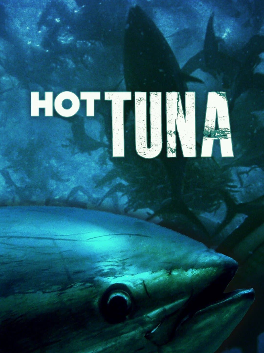 Poster di Hot Tuna