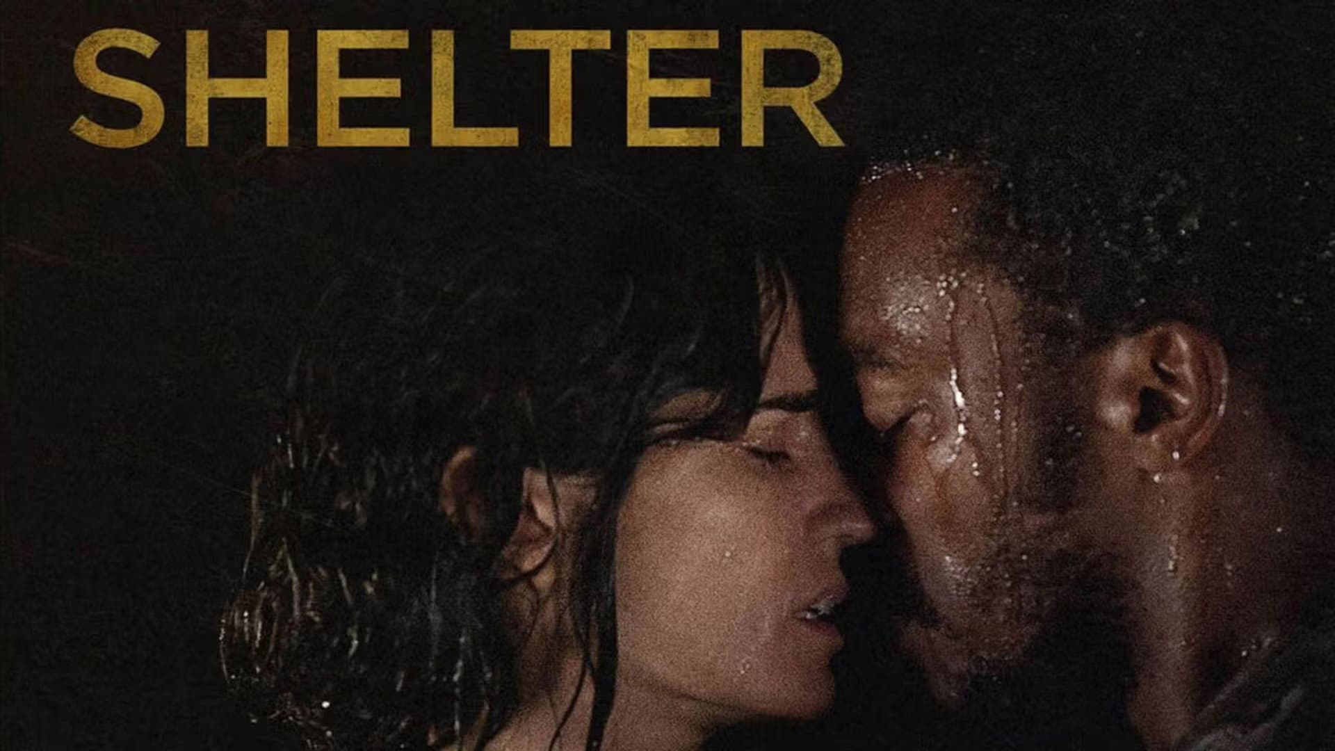 Shelter - immagine