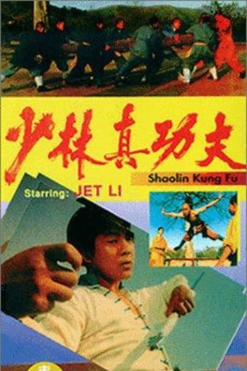 Poster di 少林真功夫