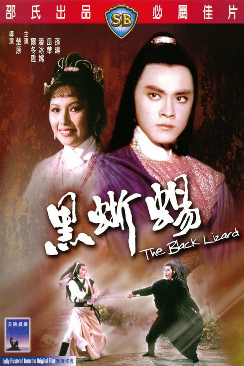 Poster di 黑蜥蜴
