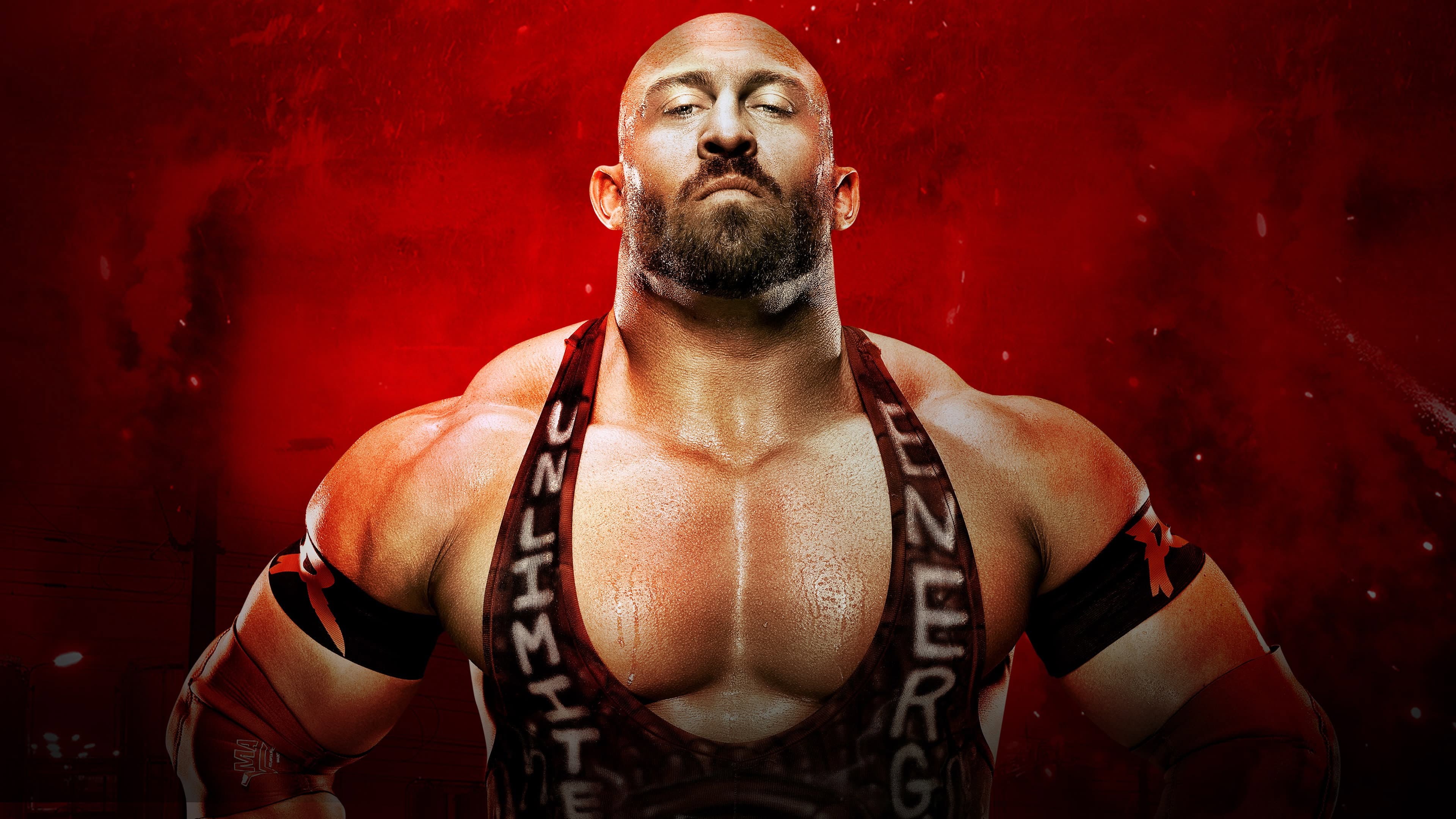 WWE Battleground 2013 - immagine