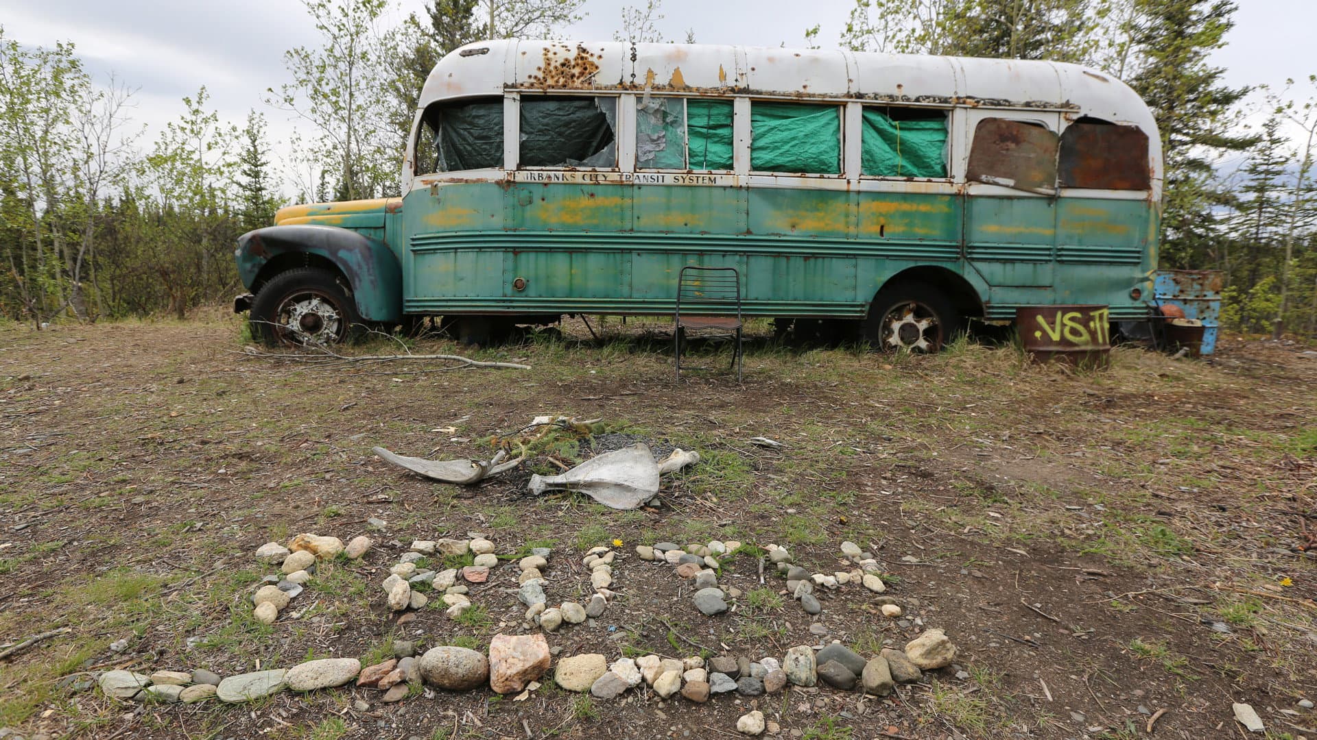 Return to the Wild: The Chris McCandless Story - immagine