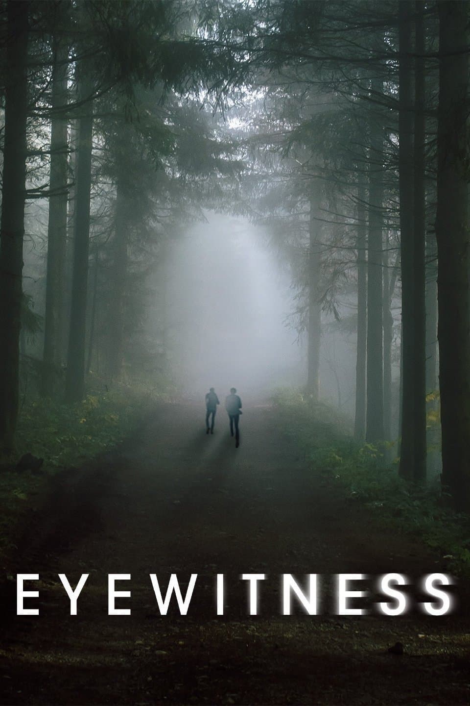 Poster di Eyewitness