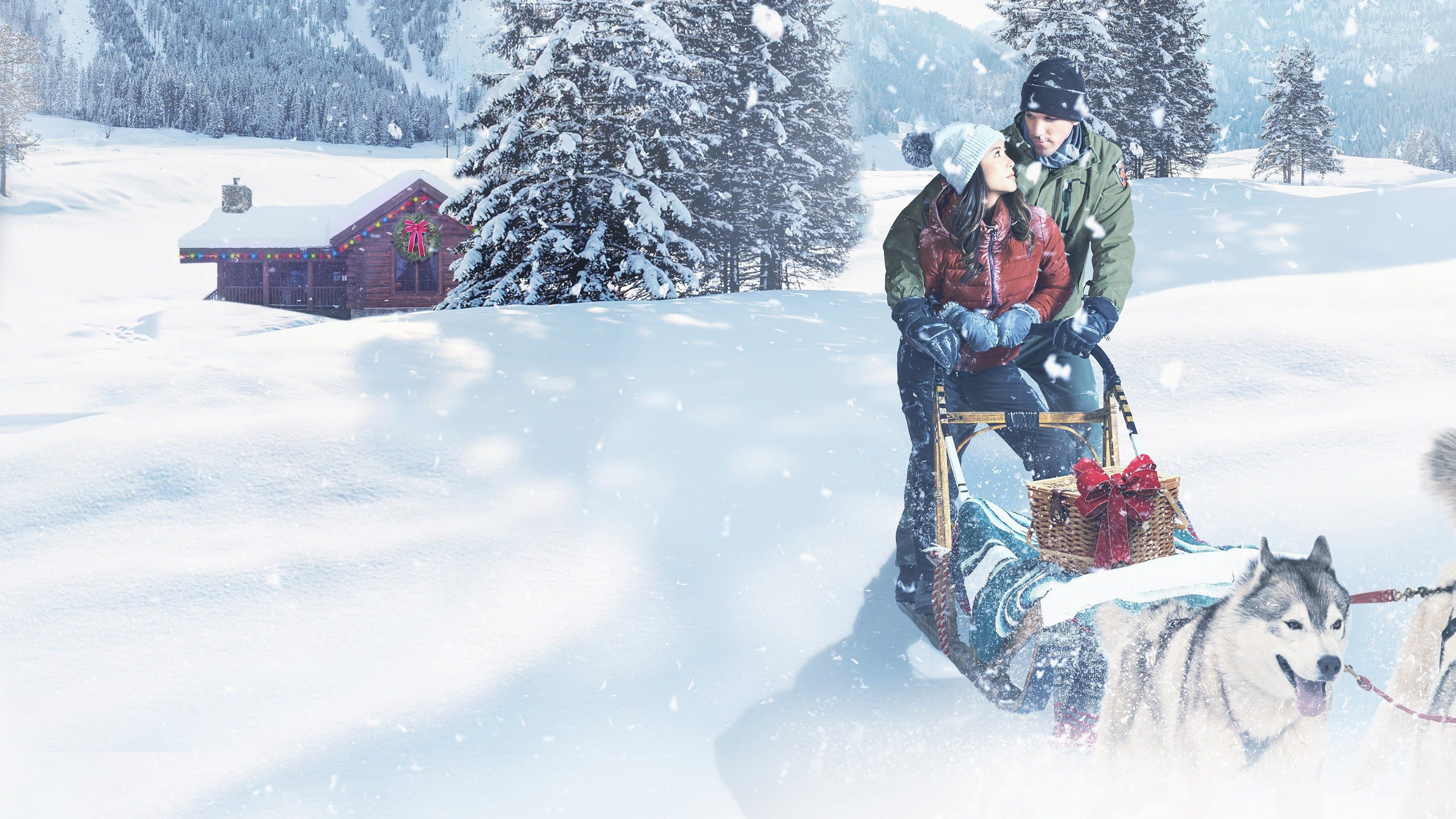 Christmas in the Wilds - immagine