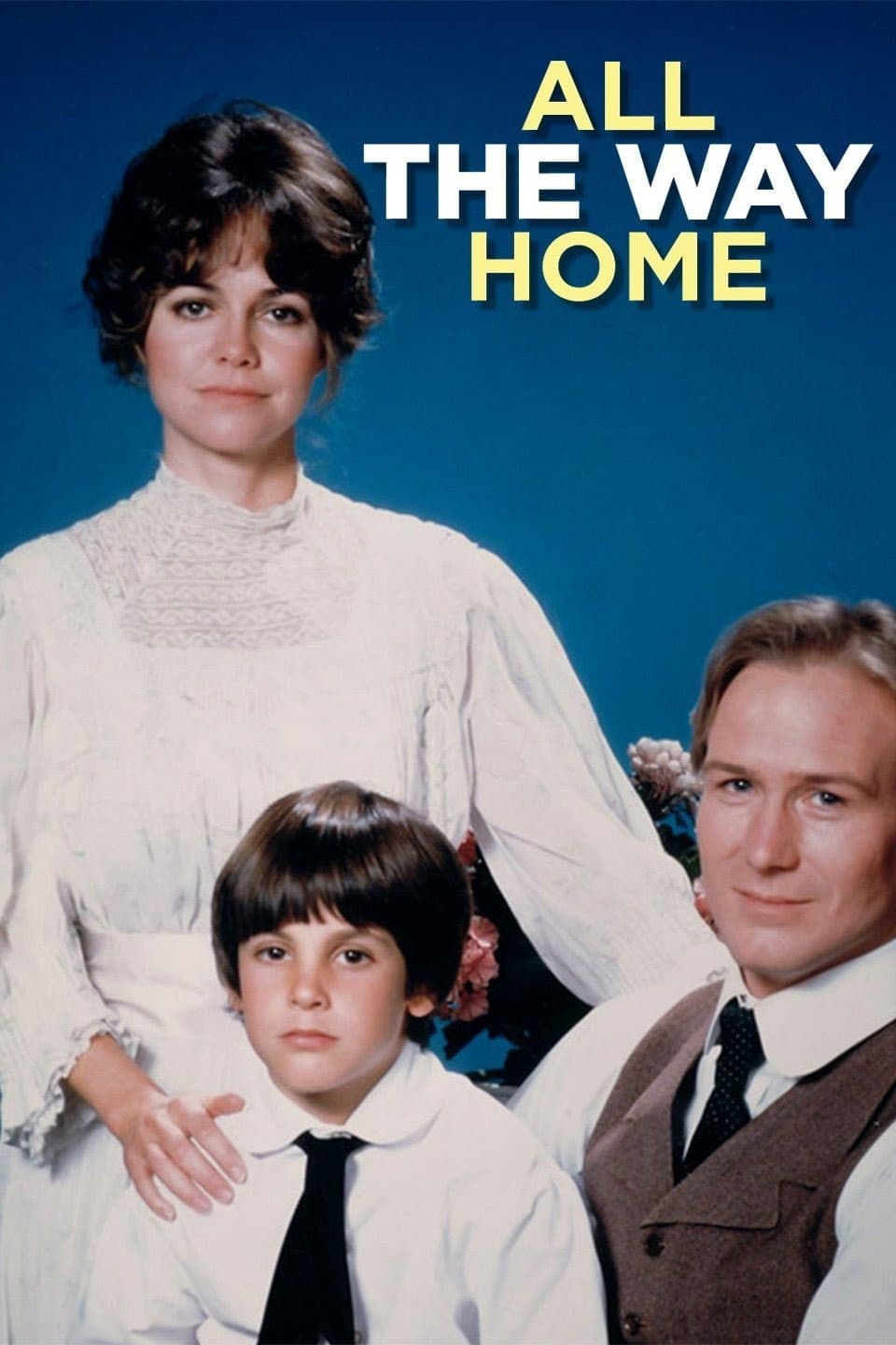 Poster di All the Way Home