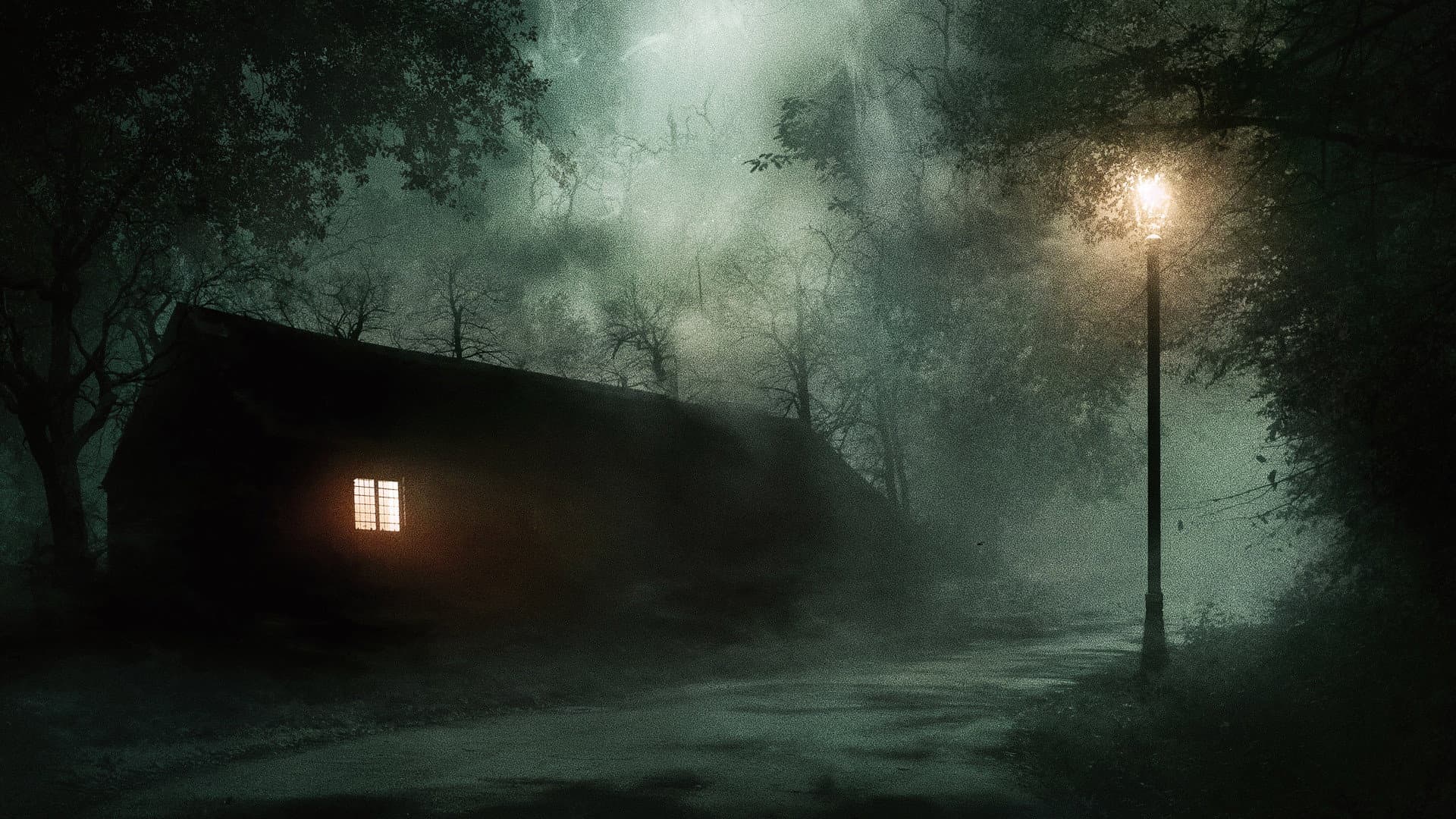 Nocturne - immagine