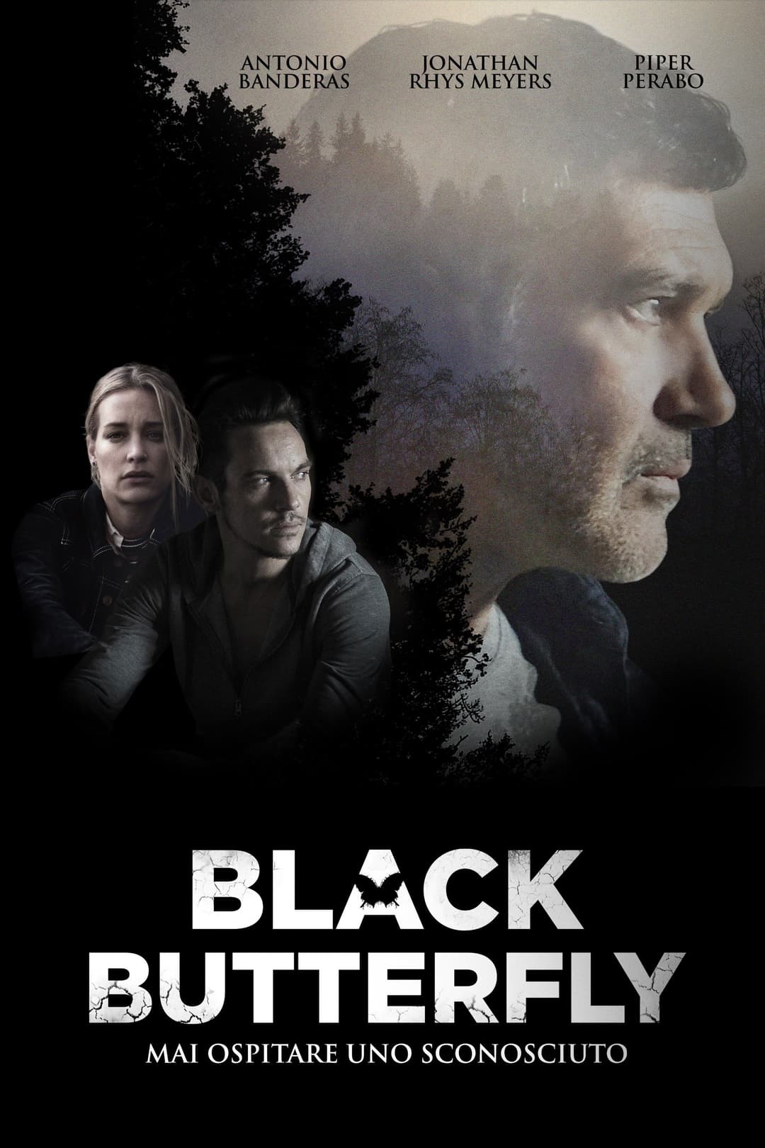Poster di Black Butterfly