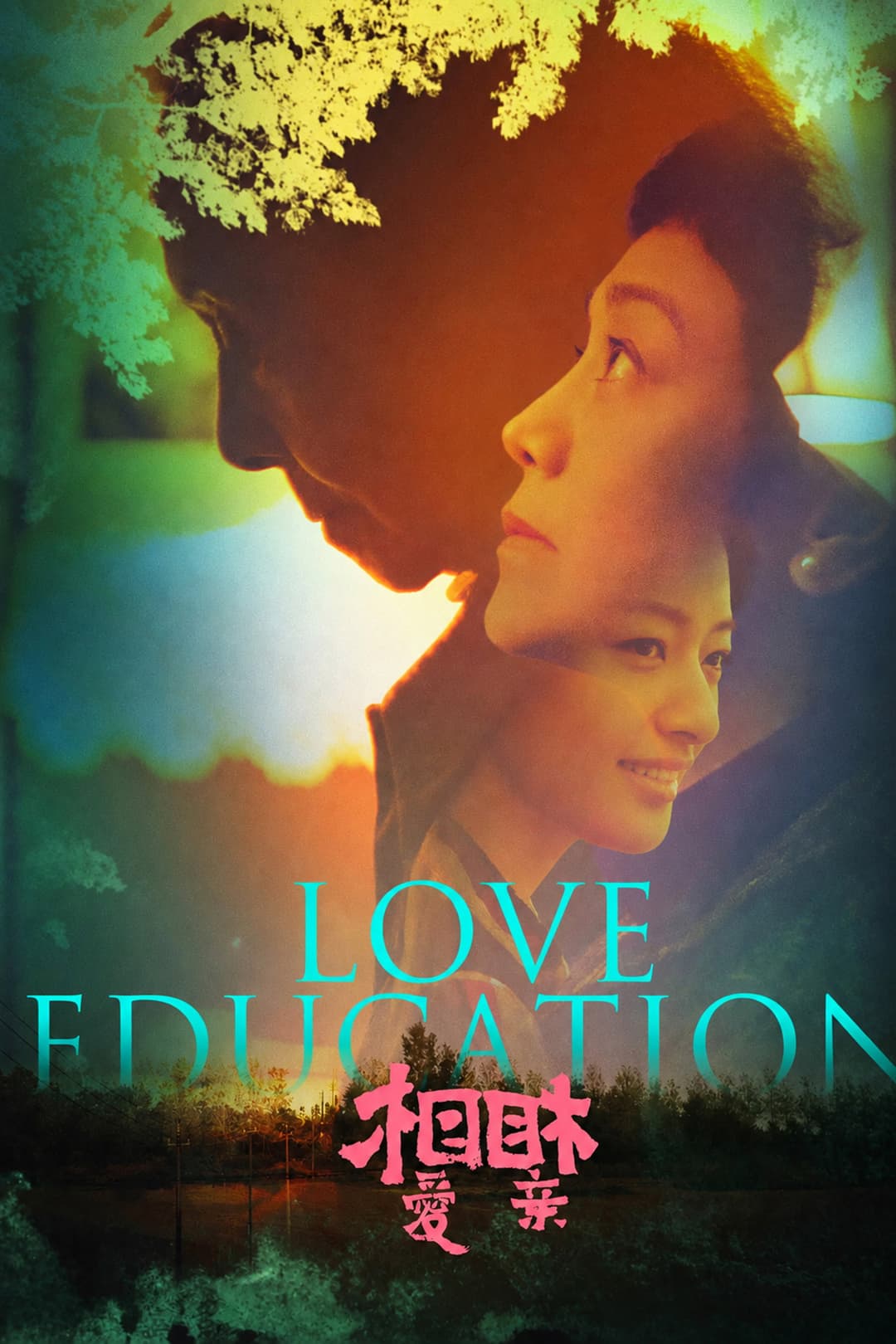 Poster di 相爱相亲