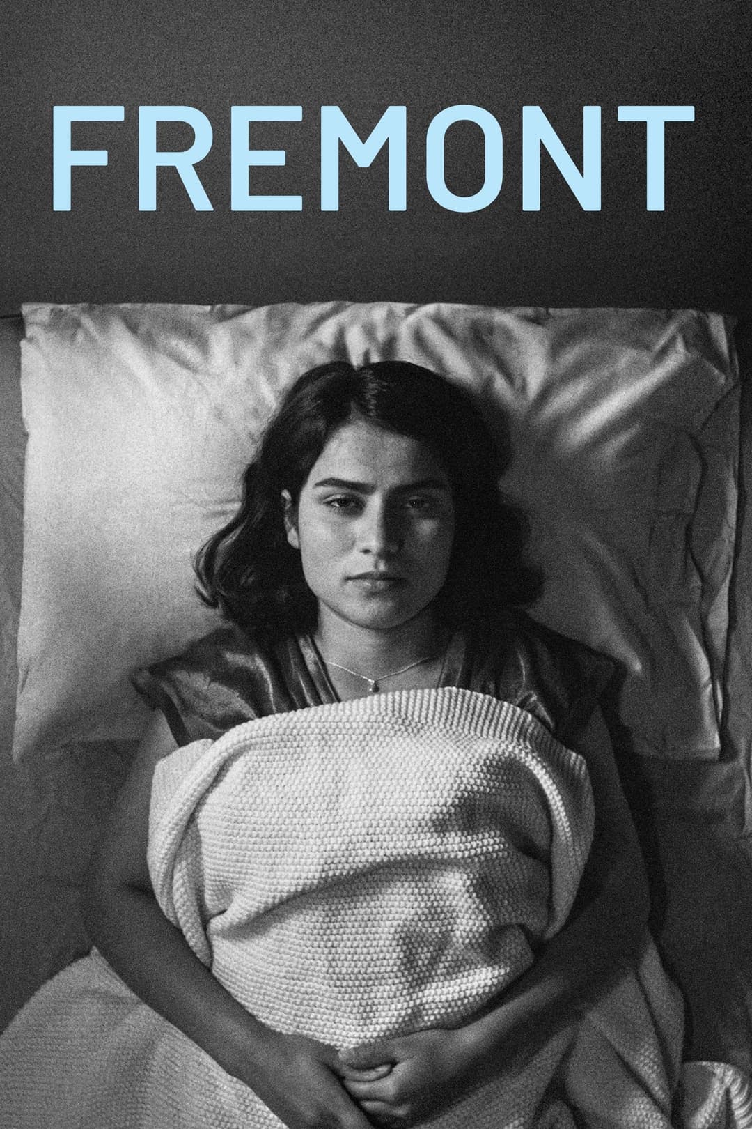 Poster di Fremont