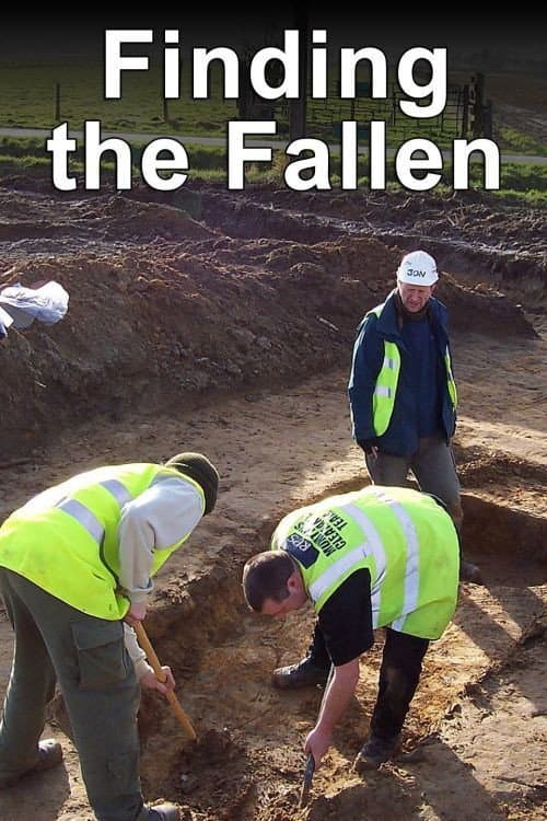 Poster di Finding the Fallen