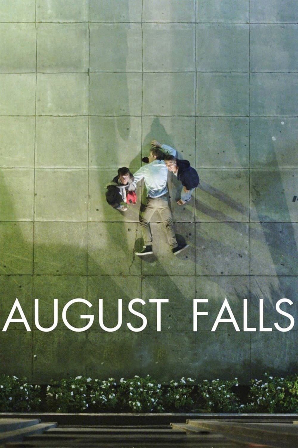 Poster di August Falls