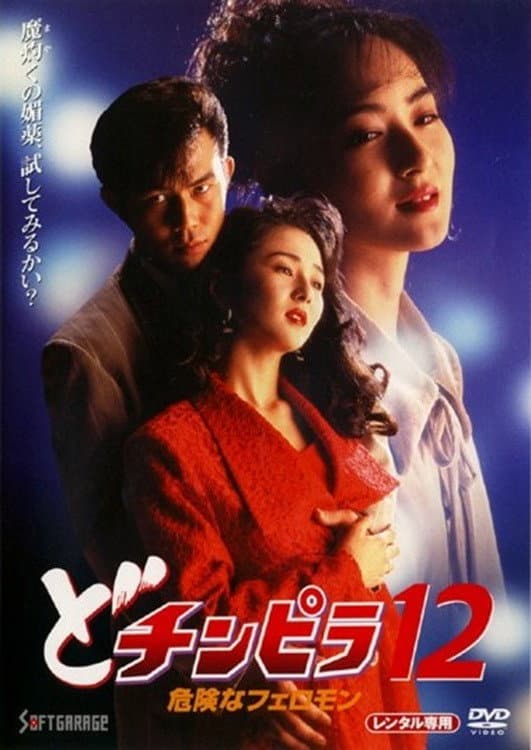 Poster di どチンピラ１２　危険なフェロモン