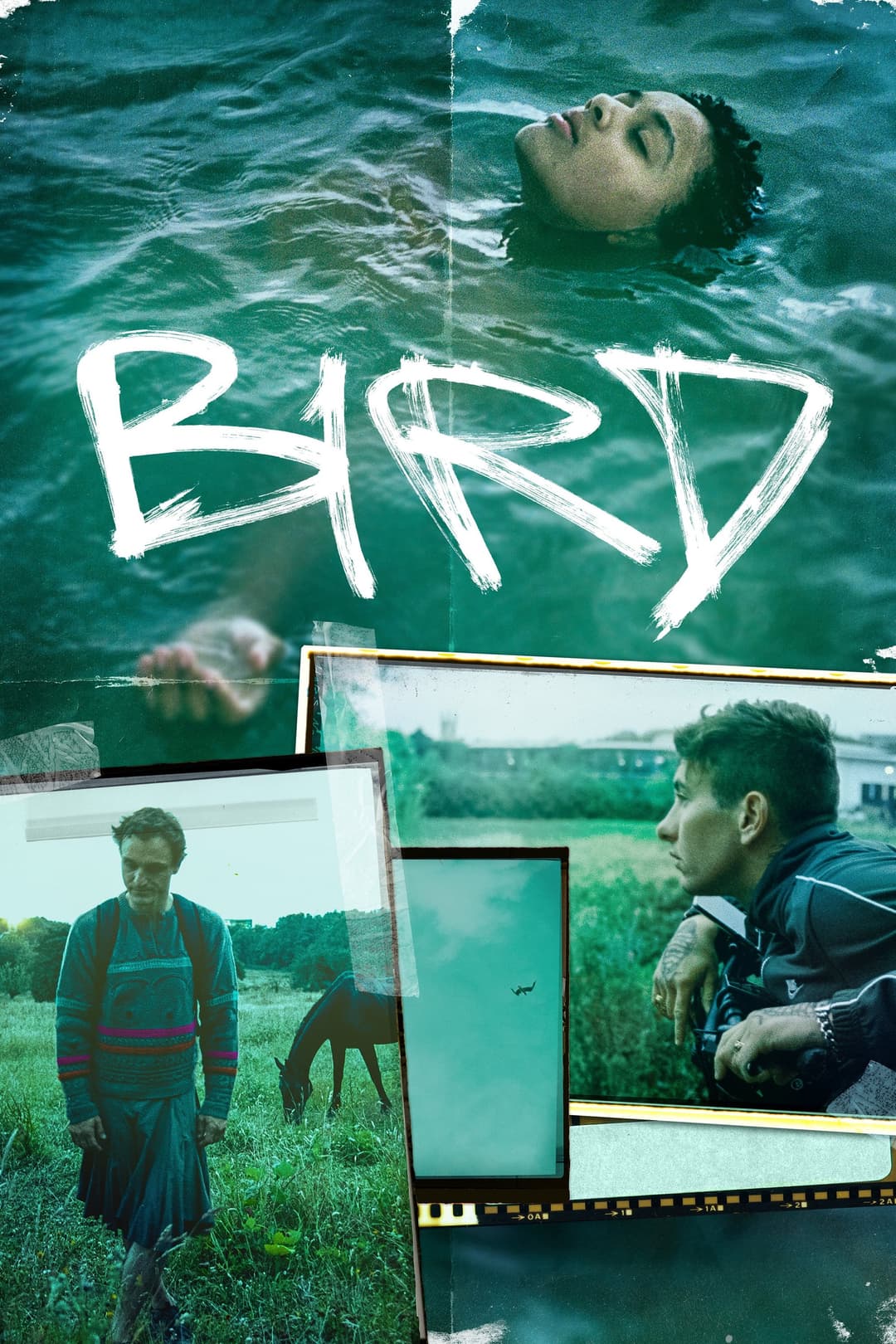 Poster di Bird