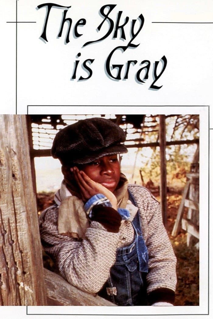 Poster di The Sky Is Gray